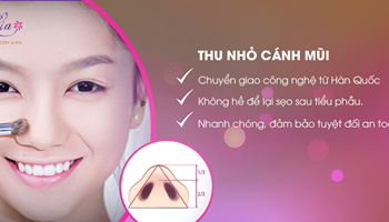 Thu nhỏ cánh mũi 
