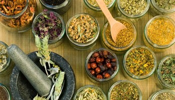 Cách triệt lông vĩnh viễn bằng thảo dược