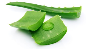 Tổng hợp các cách chữa rạn da hiệu quả