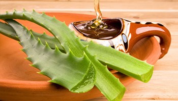 Bật mí những cách làm mặt nạ dưỡng da bằng nha đam cực kì hiệu quả