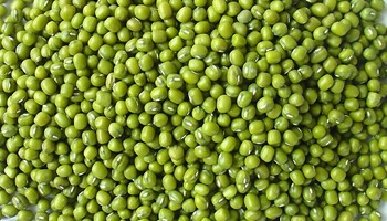 Tổng hợp các cách trị nám da tại nhà bằng các nguyên liệu thiên nhiên hiệu quả