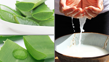 Hướng dẫn cách làm đẹp da bằng nha đam