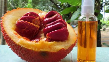 Mách bạn cách làm hồng nhũ hoa từ dầu gấc siêu hiệu quả