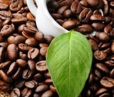Mẹo làm trắng da từ cà phê cực đơn giản mà hiệu quả