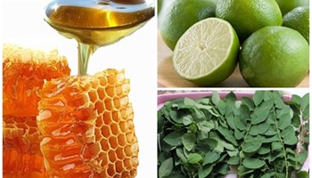 Khám phá cách trị nám da bằng rau ngót hiệu quả tại nhà