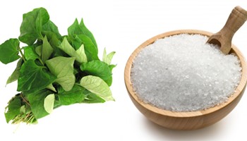 Làm đẹp da bằng rau diếp cá – Đơn giản mà hiệu quả bất ngờ