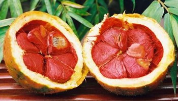 Bỏ nhỏ bí kíp làm hồng nhũ hoa bằng hoa quả với dầu gấc