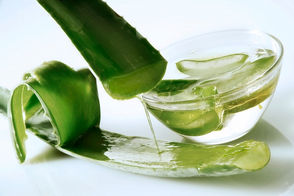 Cách trị sẹo lõm trên măt với lô hội