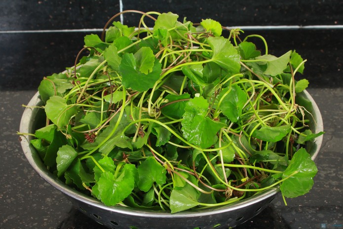 cách trị sẹo lồi lâu năm