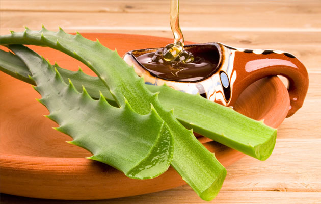 Cách trị mụn trứng cá bằng cây lô hội và mật ong