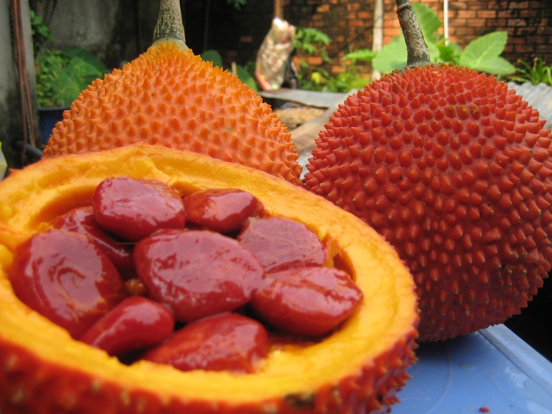 Cách làm đẹp da từ hạt gấc