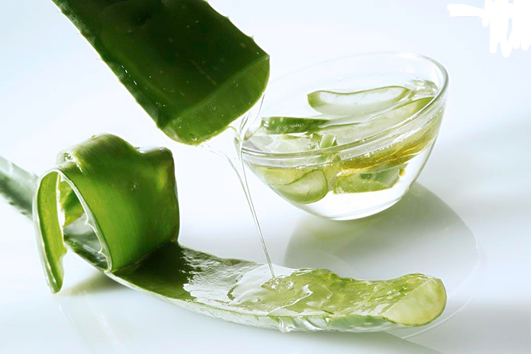 Cách hồi phục làn da sau khi bị cháy nắng với nha đam