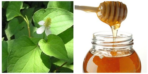 Làm đẹp da bằng rau diếp cá và mật ong