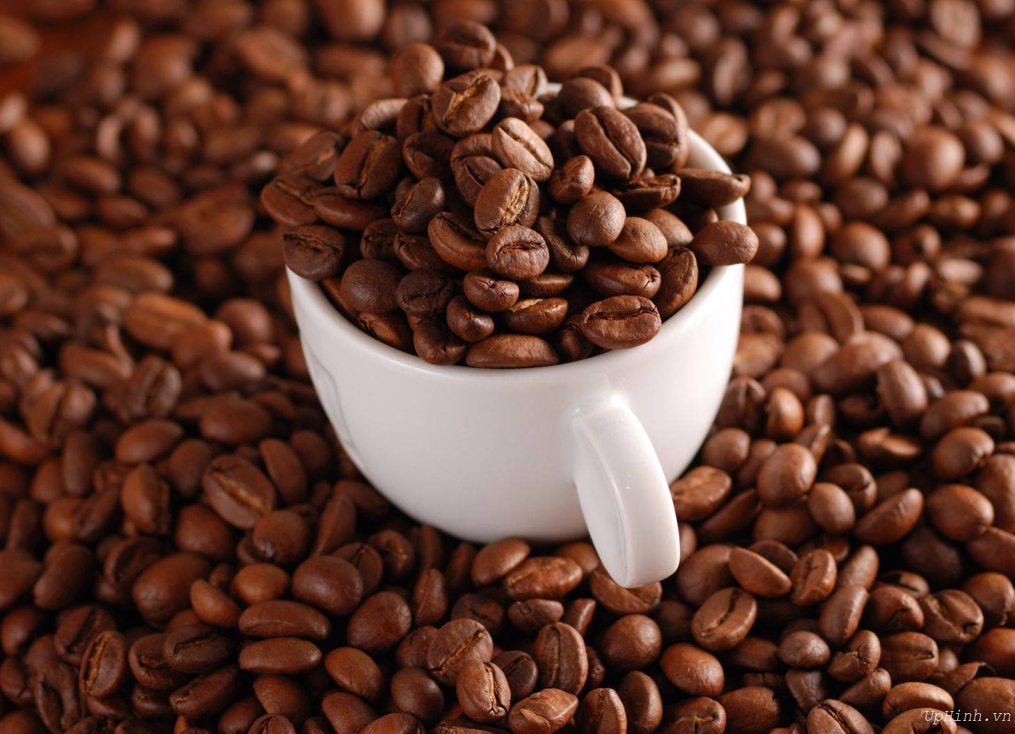 Cách trị ran da bằng café và nước ấm